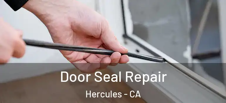  Door Seal Repair Hercules - CA