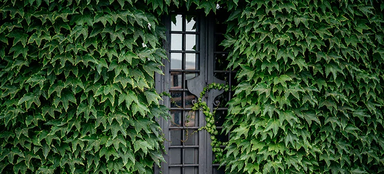Garden Gate Repair in Hercules, CA