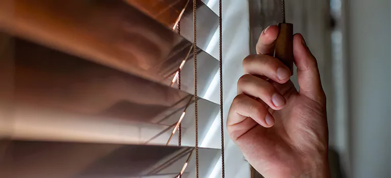 Double Roller Blinds in Hercules, CA
