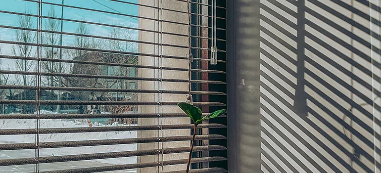 Commercial Window Blinds in Hercules, CA