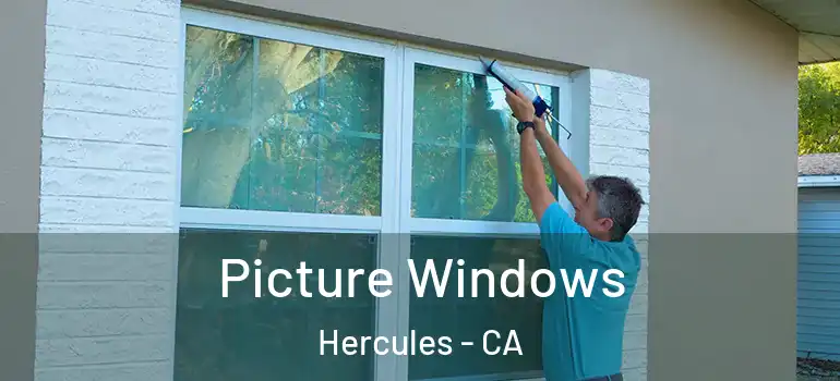  Picture Windows Hercules - CA