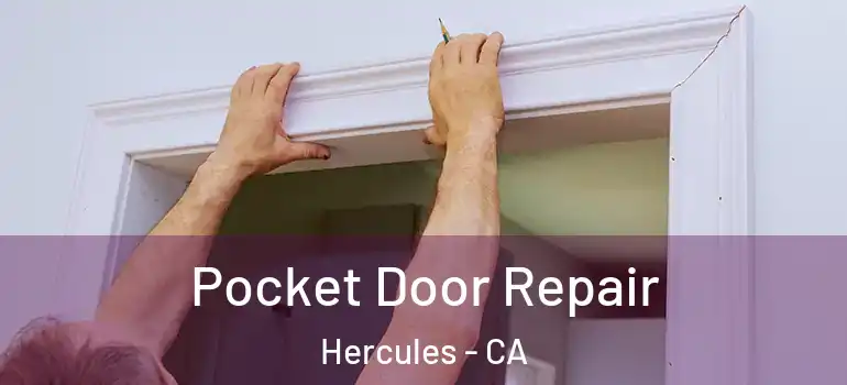  Pocket Door Repair Hercules - CA