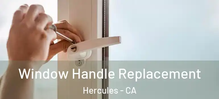  Window Handle Replacement Hercules - CA