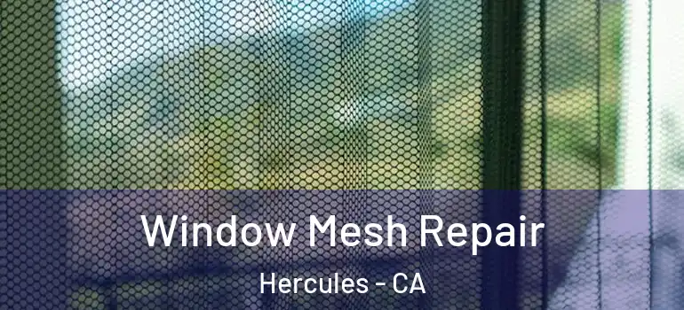  Window Mesh Repair Hercules - CA
