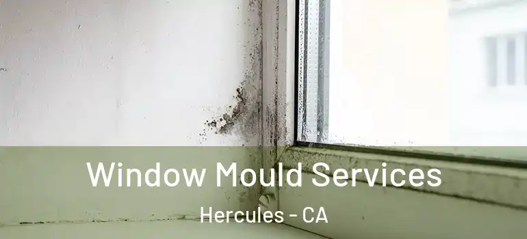  Window Mould Services Hercules - CA